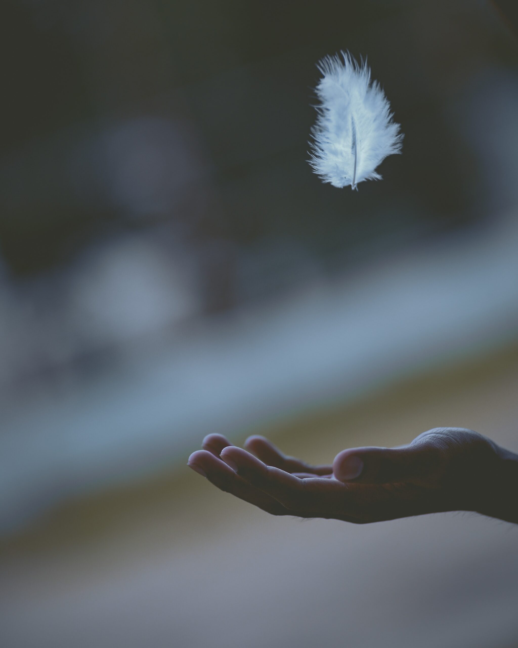 feather drifting out of a person's hand